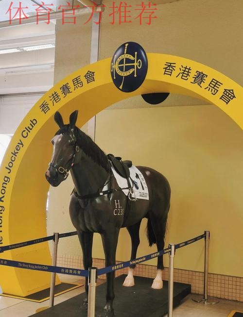 香港赛区一张门票可看多场比赛 香港赛区一张门票可看多场比赛